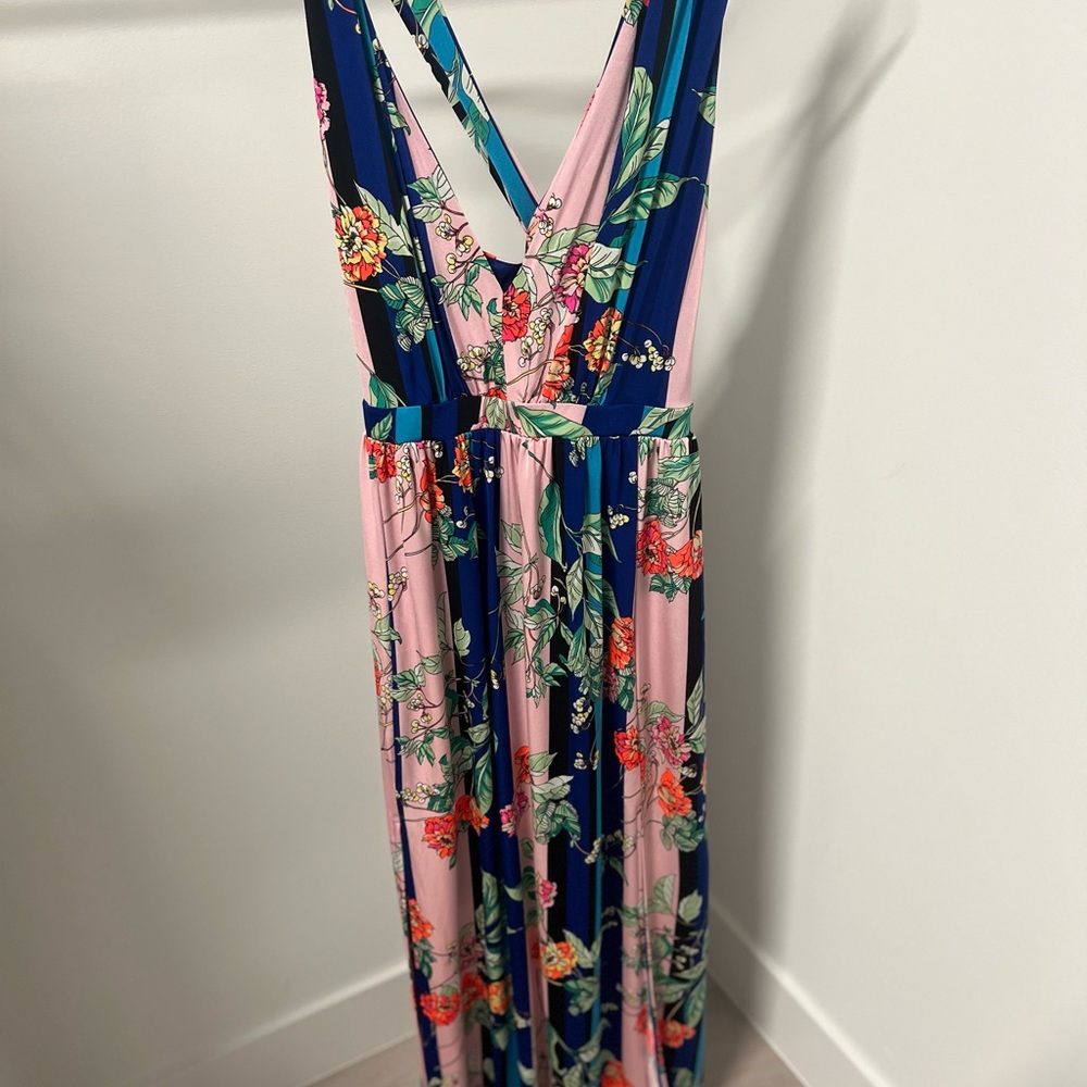 Express Floral Maxi Dress - Pink and Blue